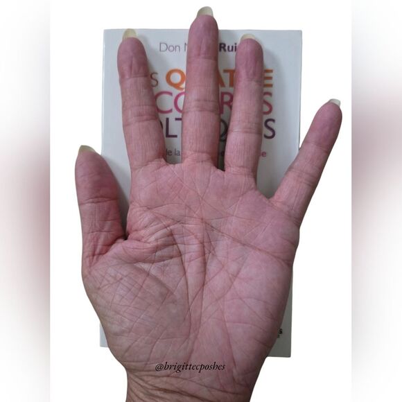 DON MIGUEL RUIZ "Les Quatres Accords Tolteques" - Picture 9 of 10